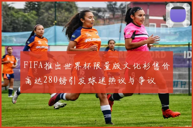 FIFA推出世界杯限量版文化衫售价高达280镑引发球迷热议与争议
